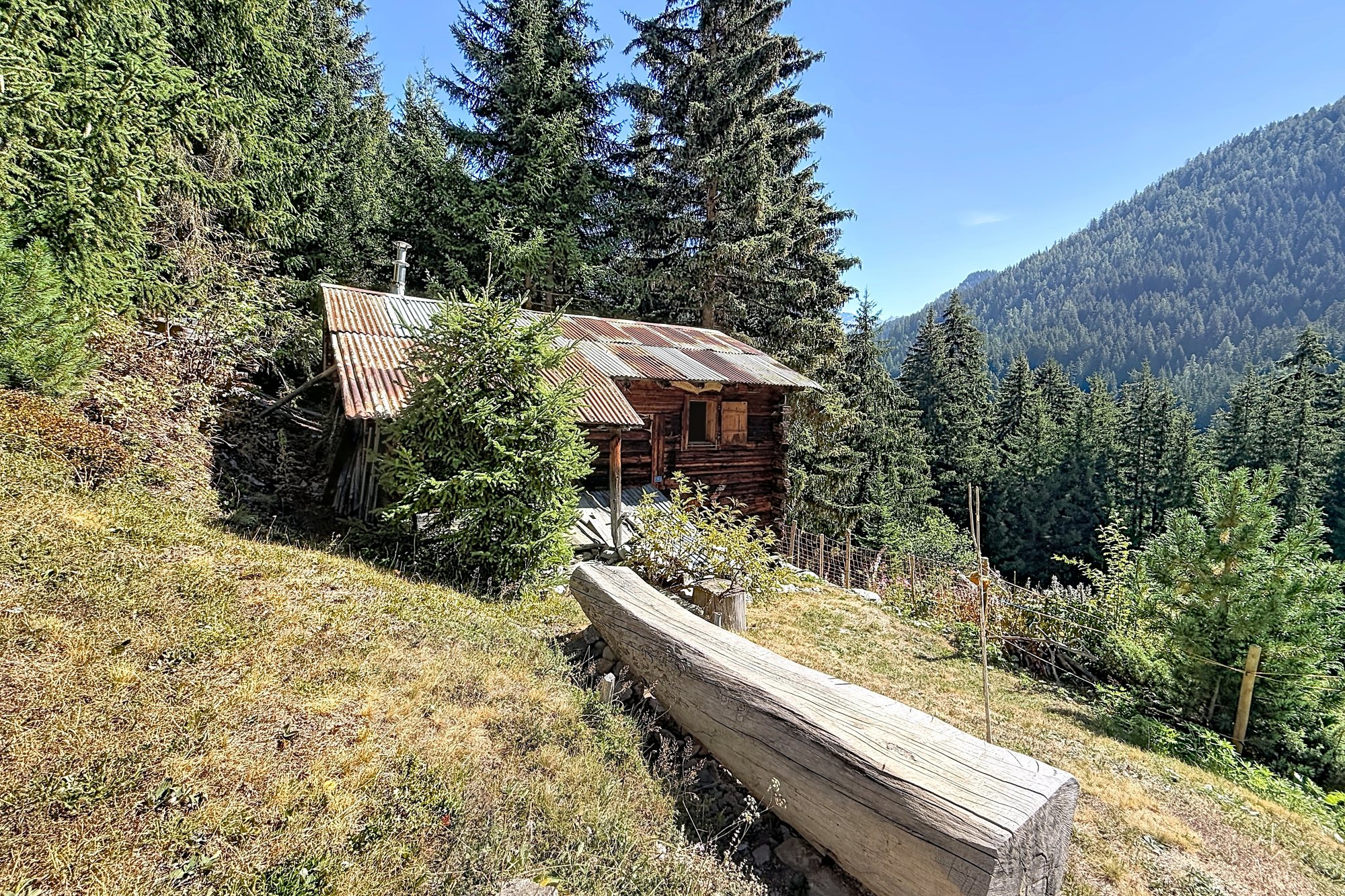 Le Mayen du Tseppi dans sa clairière : chalet d'alpage en madriers au toit de tôle, vieux bassin de bois au premier plan, forêt d'épicéas et montagne derrière.